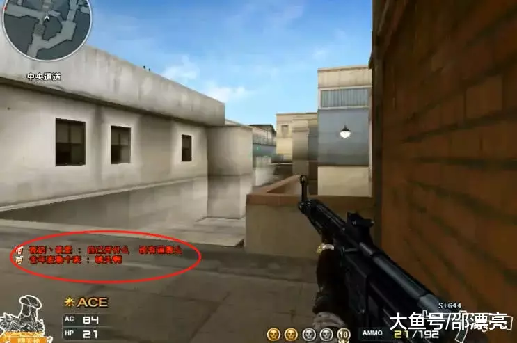 为什么新手总盯着底牌（新手为何总执着于底牌）